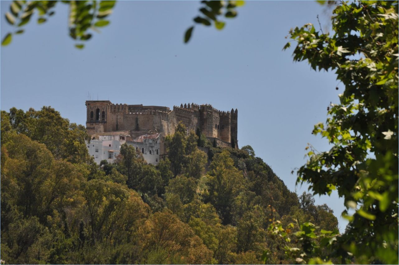 204-Arcos de la Frontera